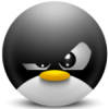 Pingu_TM